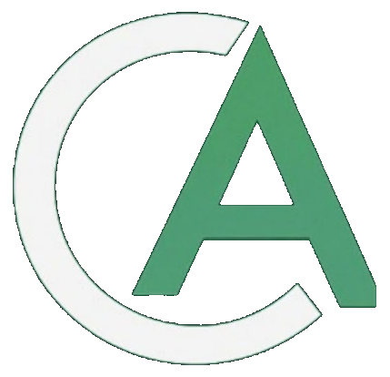 Cash Aim Logo